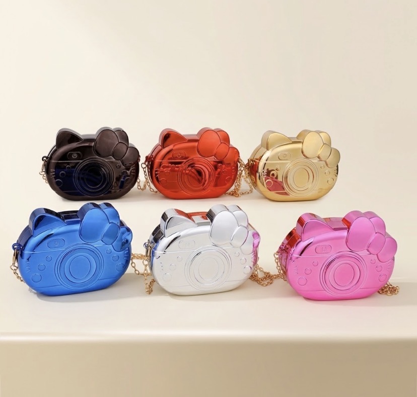 Camera Acrylic Mini Bag